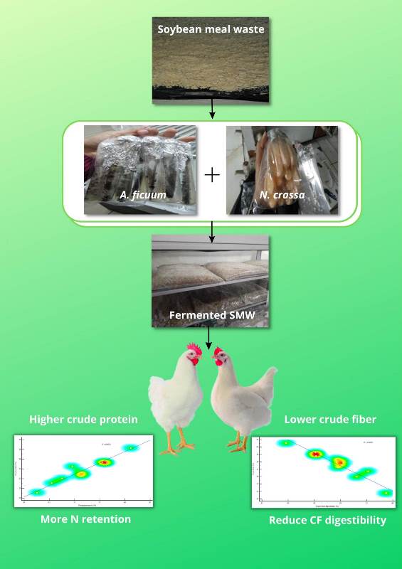 1243-soybean_meal_waste_fermented_by_A._ficuum__N._crassa