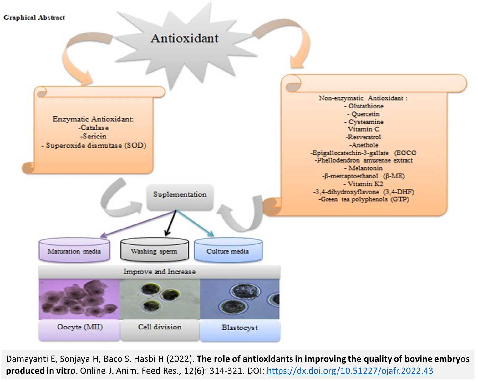 143-antioxidants_in_improving_the_quality_of_bovine_embryos_produced_in_vitro