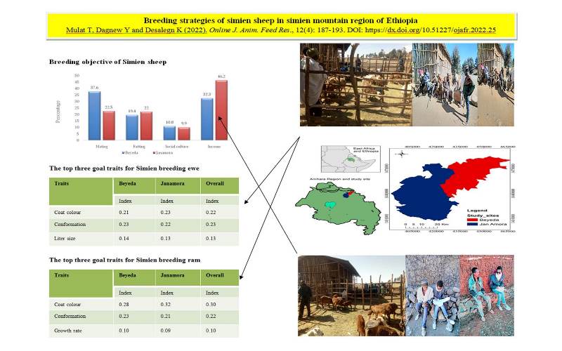 86-Breeding_strategies_of_Simien_sheep_in_Ethiopia