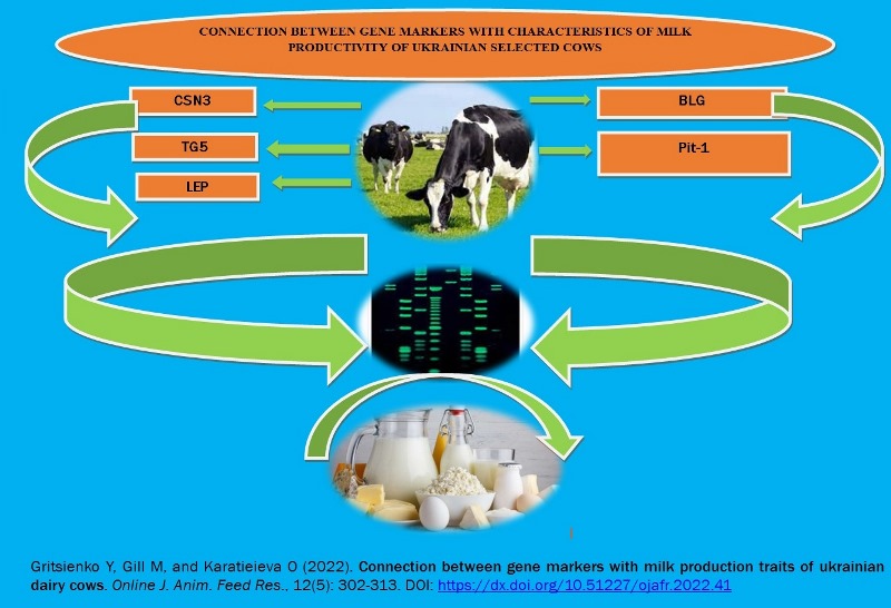 Karatieiev-_gene_markers_and_milk_productivity_traits_of_dairy_cows