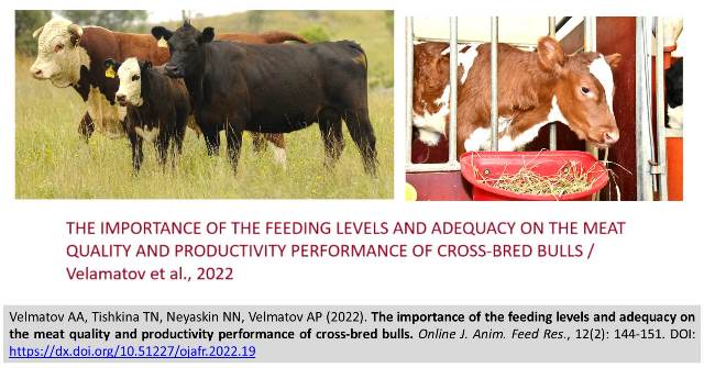 Velmatov_-_meat_quality_of_cross-bred_bulls