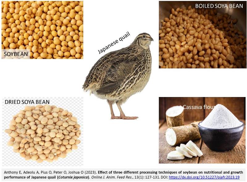 138-processing_techniques_of_soybean