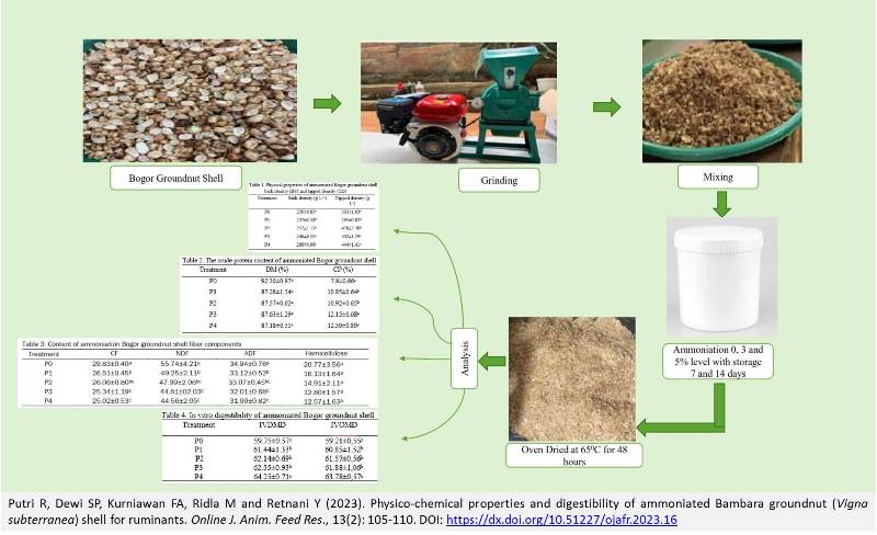 166-Bambara_groundnut_ammoniation_for_ruminants