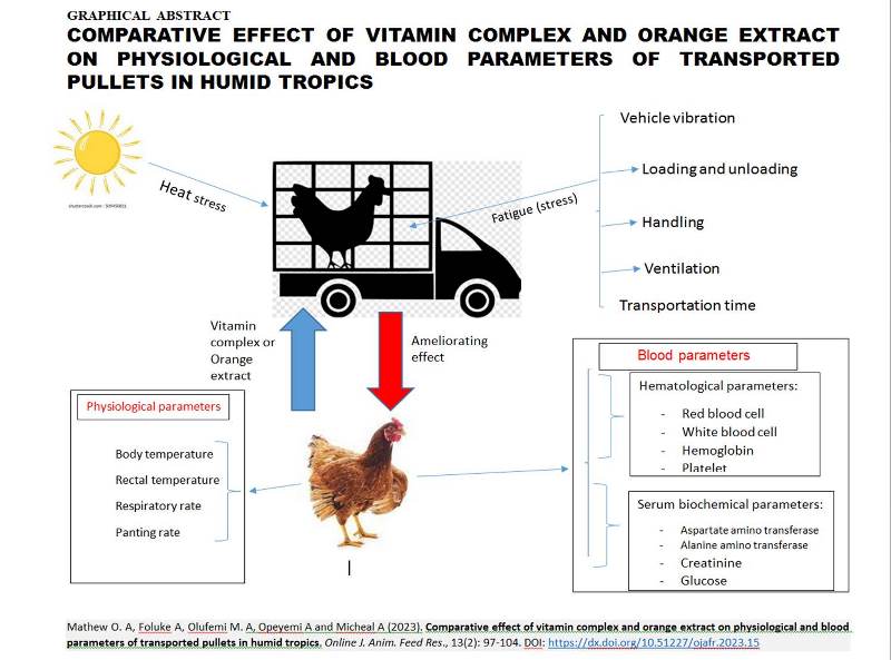 181-vit._complex_vs._orange_extract