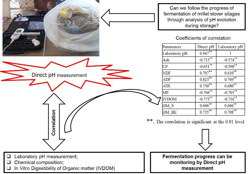 ojafr1265_level_of_fermentation_of_millet_silage