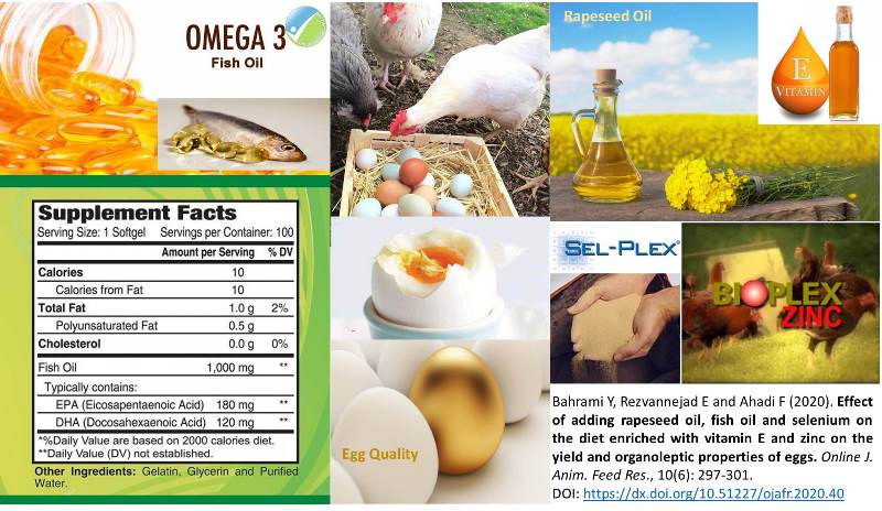 11900-rapeseed_oil_fish_oil_selenium_vit._E_zinc_on_egg_quality--