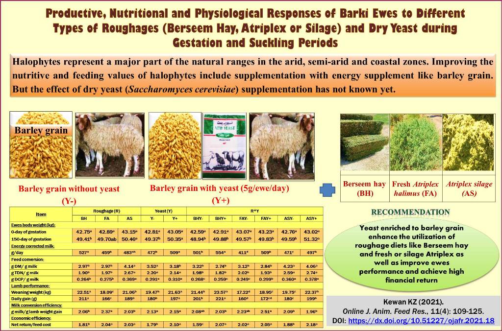 32-Berseem_hay_Atriplex_or_silage_dry_yeast