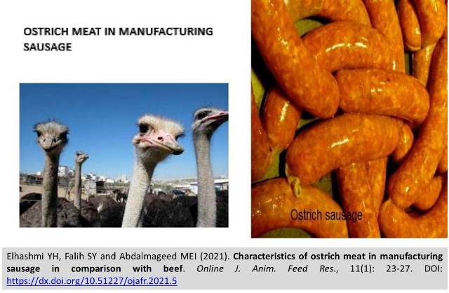5-ostrich_meat_in_manufacturing_sausage_vs_beef---