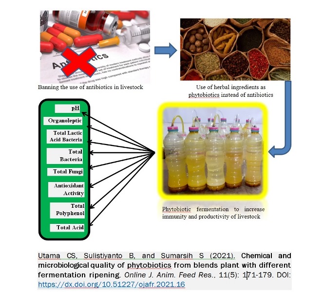 54--phytobiotics_from_blends_plant