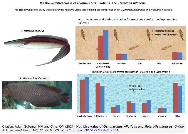 63-Gymnarchus_niloticus_and_Heterotis_niloticus