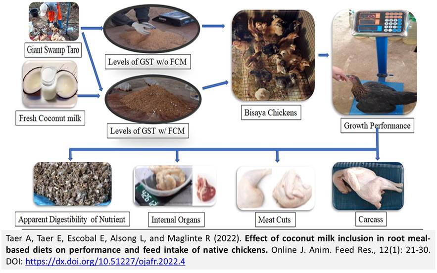 69-coconut_milk_inclusion_in_diet