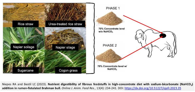 219-fibrous_feedstuffs