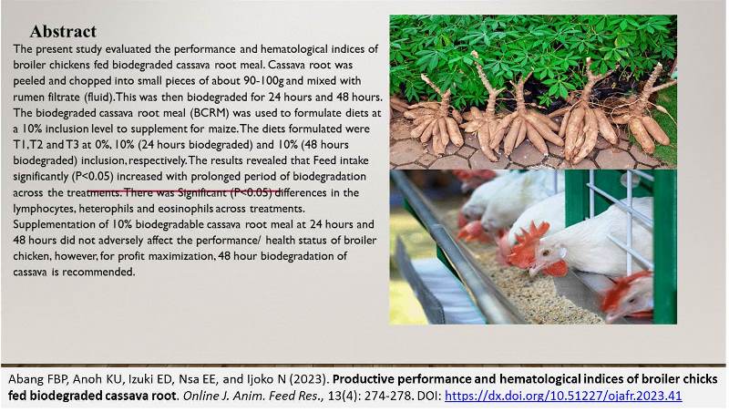 Abang-_biodegraded_cassava_root