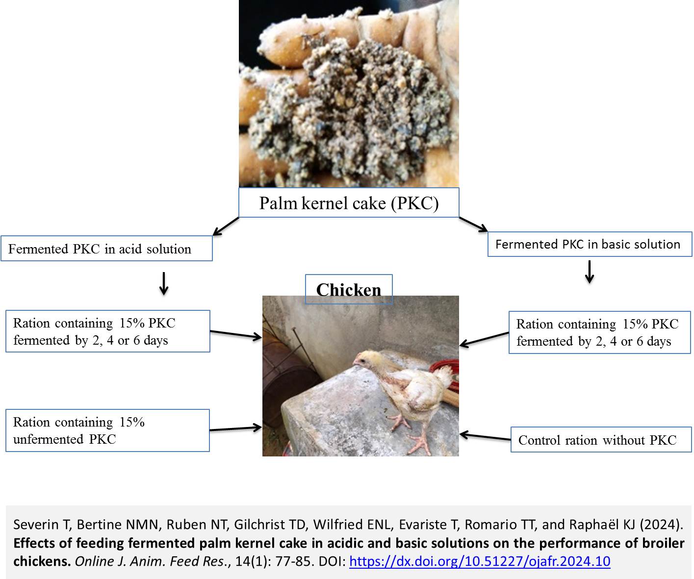 273-Effects_of_feeding_fermented_palm_kernel_cake_on_broiler