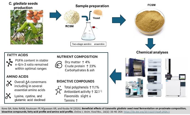581_Canavalia_gladiata_seed_meal